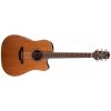 Takamine GD20CE-NS