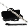 Classic Cantabile FL-100