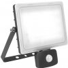 PN32300013 VANA LED PROFI S reflektorové svietidlo so senzorom 10W - neutrálne Panlux