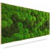 Machový obraz DUO Light Green, 100x50cm, drevený svetlohnedý rám
