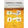Koloběh piva ve Vamberku aneb kde se pivo vařilo stáčelo skladovalo a pilo - Hostinský Jiří
