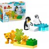 LEGO® DUPLO® 10442 Rodinky divokých zvierat: Tučniaky a levy (LEGO10442)
