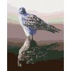 Zuty – Maľovanie Podľa Čísel – - Jastrab V Odraze (D. Rusty Rust), 40 × 50 cm, Plátno 8596530170921