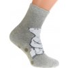 Termo ponožky SNOW sivé