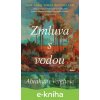 E-kniha Zmluva s vodou - Abraham Verghese