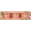Yankee Candle Tropical Breeze 3 x 37 g
