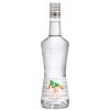 Monin La Liqueur Triple Sec Curaçao 38% 0,7 l (čistá fľaša)