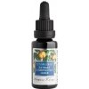 Extrakt z grapefruitových jadierok 20 ml