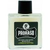 Proraso Cypress and Vetyver balzám na vousy 100 ml