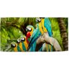 Sablio Uterák Papagáje na konári - 50x100 cm