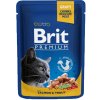 Brit Premium Cat Pouch with Salmon & Trout 100 g