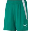 Trenky Puma teamLIGA Shorts Jr 704931 05