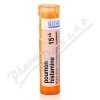 Poumon Histamine CH15 gra.4g