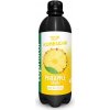 Topnatur TOP BIO Kombucha Ananás 0,5 l