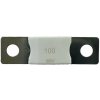 Victron DC MEGA - poistka 100A/80V