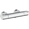Hansgrohe 13211000