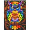 Malatec Diamantové maľovanie H17012-SOVA