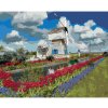 Diamondi Diamantové maľovanie - VETERNÝ MLYN A TULIPÁNY (DENNIS FRATES) Rámovanie: vypnuté plátno na rám, Rozmer: 40x50 cm