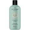 Attitude Prírodný šampón Furry Friends pre zvieracích miláčikov s ovsom 473 ml