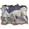 Díra 3D fototapeta na stěnu White horse beach 95x64 cm