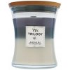 WoodWick Trilogy - Amethyst Sky 275 g