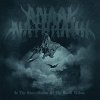 Anaal Nathrakh: In The Constellation Of The Black Widow - Vinyl (LP)