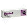 Mundisal gel.1 x 8 g