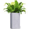 Lechuza Samozavlažovací kvetináč plastový Canto Stone 30 x 30 x 56 cm sivý