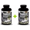 Vision Nutrition Tribulus 90 Large Caps 100 kapsúl