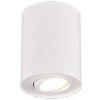 Trio 612900131 stropné bodové svietidlo cookie 1x35W | GU10