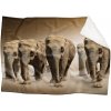 Deka Slony v púšti (Rozmer: 200 x 140 cm, Podšitie baránkom: ÁNO)