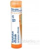 Symphytum Officinale gra.1 x 4 g 15CH