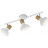 R81523031 TRIO LATIKA Stropné svietidlo biele 3-bodové