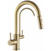 REA - Kuchynská batéria Eco Fresh BRUSH GOLD REA-B7596