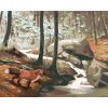 ZUTY Maľovanie podľa čísel - LÍŠKA PRI POTOKU (D. RUSTY RUST) Rámovanie: vypnuté plátno na rám, Rozmer: 80x100 cm