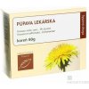 HANUS PÚPAVA LEKÁRSKA KOREŇ vákuové bal. 1x80 g Hanus - Bylinné prípravky