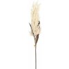 Umelá rastlina Tráva Pampas, 88 cm, biela, 1099614