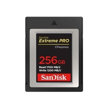 SanDisk 256GB SDCFE-256G-GN4NN