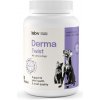 Lab-v Derma Twist – podpora pokožky, srsti a ochrannej bariéry pre psy a mačky 60 kapsúl s otočným uzáverom
