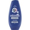 Schauma balzam Silver Reflex 250ml