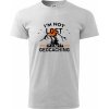 Im not lost - geocaching - Klasické pánske tričko vyššej gramáže - 3XL ( Svetlosivý melír )