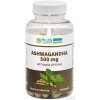 PLUS LEKÁREŇ ASHWAGANDHA 500 mg Withania opojná cps 1x90 ks GreenPharm s.r.o.
