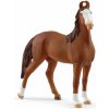 Schleich Horse Club Kobyla marwari 14897