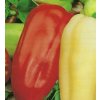 Paprika semená 0,5 g