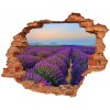 Diera 3D foto tapeta nálepka Pole levanduľa 90x70 cm