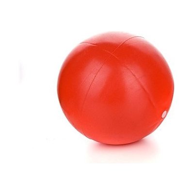 SPORTWELL Mini Ball 20cm