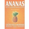 Ananas - Barbara Simonsohn