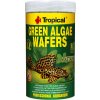 TROPICAL Zelené riasy 100ml