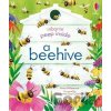 Peep Inside a Beehive - Anna Milbourne, Stephanie Fizer Coleman (ilustrátor)