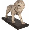 Clayre & Eef Béžová antik dekoratívna socha lev Lion - 55*23*40 cm - Clayre & Eef